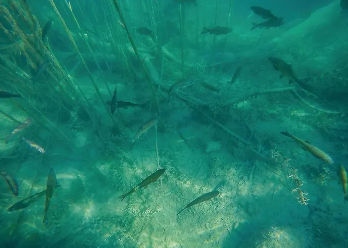 Four-bedroom In Miljevci Semesterbostad Bristane